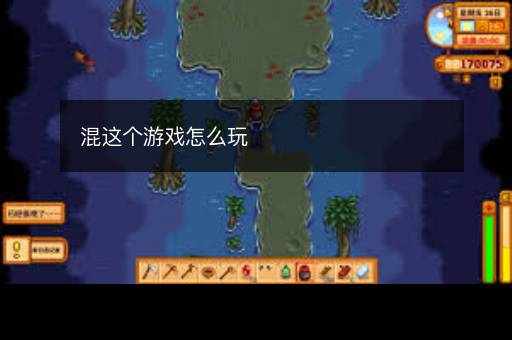 混这个游戏怎么玩
